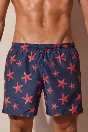 Blue Men's Intimissimi Starfish Print Swim Trunks | AU1278UTL