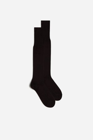 Brown Men's Intimissimi Tall Sateen Egyptian Cotton Socks | AU1271MAS