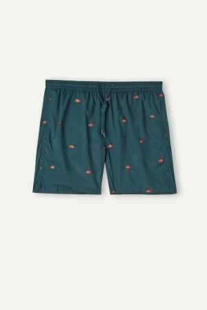 Dark Green Men's Intimissimi Embroidered Clownfish Swim Shorts | AU1307PQC