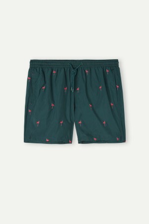 Dark Green Men's Intimissimi Embroidered Flamingo Swim Trunks | AU1297MAS