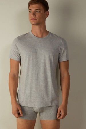 Light Grey Men's Intimissimi Short Sleeve Crew Neck in Supima® Cotton T Shirts | AU1013WYF