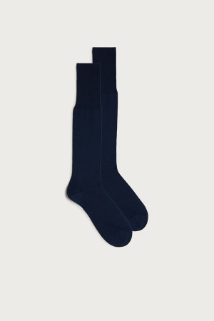 Light Grey / Blue Men's Intimissimi Tall Sateen Egyptian Cotton Socks | AU1264LHT