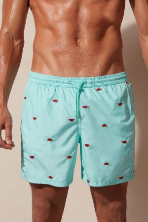 Light Turquoise / Green Men's Intimissimi Embroidered Watermelon Swim Shorts | AU1311FMM