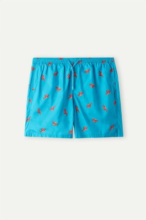 Peacock Blue Men's Intimissimi Lobster Print Swim Trunks | AU1285FMM