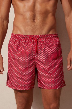 Red / Dark Grey Men's Intimissimi Micro Shark Print Swim Shorts | AU1306ORX