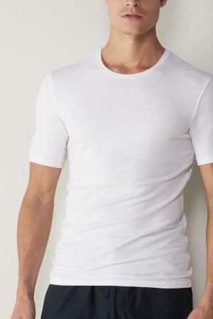 White Men's Intimissimi Short-Sleeve Modal-Cashmere T Shirts | AU1046ORX