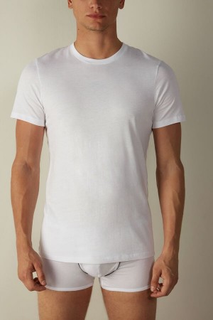 White Men's Intimissimi Short Sleeve Crew Neck in Supima® Cotton T Shirts | AU1018UTL